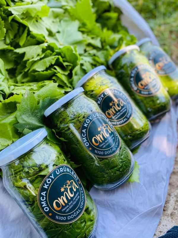 Kuru Basım Asma Yaprak 5x1'lik Kavanoz