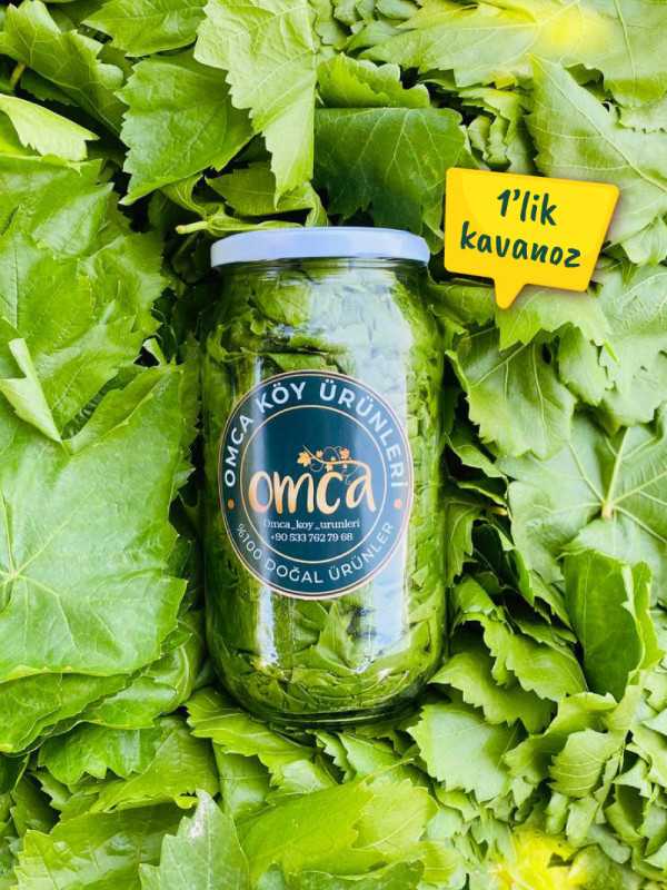 Kuru Basım Asma Yaprak 1'lik Kavanoz