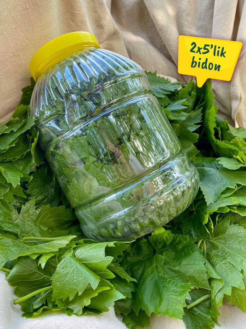 Kuru Basım Asma Yaprak 2x5'lik Bidon