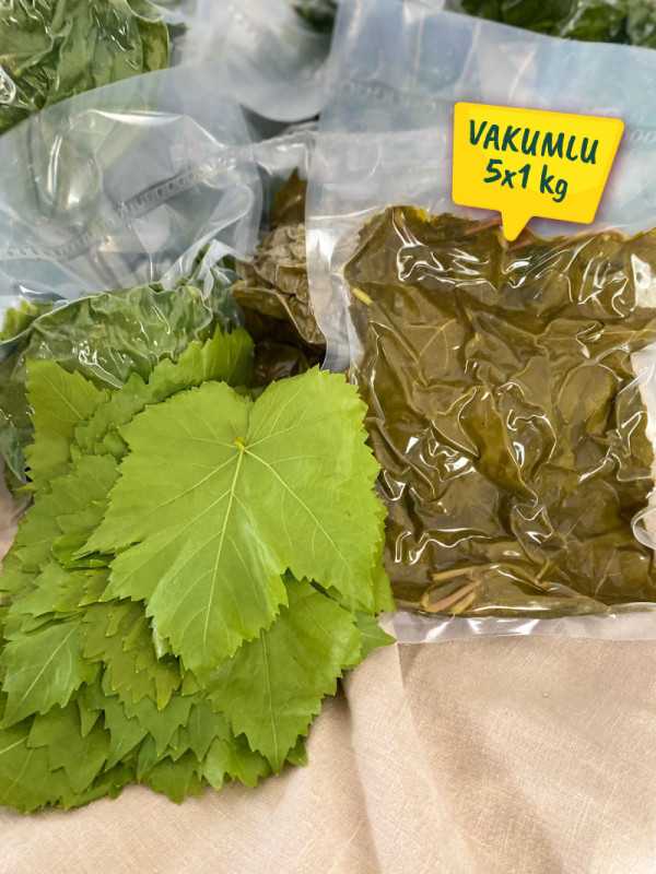 Vakumlu Taze Asma Yaprak 5x1 kg.