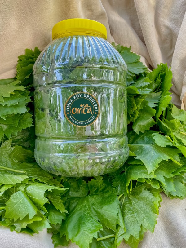 Kuru Basım Asma Yaprak 5'lik Bidon